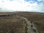 It's a long path but so much better than bog hopping It's a long path but so much better than bog hopping