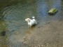 Lola has a dip Lola has a dip