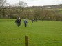 Coming across the fields Coming across the fields