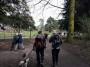 In Tatton Park In Tatton Park