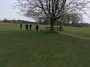 In Tatton Park In Tatton Park