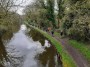 Back along the canal Back along the canal
