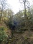 The Ravine The Ravine