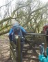 Awkward branch by the gate Awkward branch by the gate