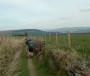 Holcombe hill in the distance Holcombe hill in the distance