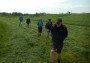 Lots of hay in the fields Lots of hay in the fields
