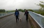 Still murky as we cross the motorway Still murky as we cross the motorway