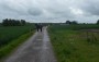Across the fields Across the fields