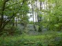 Bluebell time, glorious Bluebell time, glorious