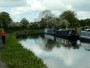 The trees are in full splendour at the moment The trees are in full splendour at the moment