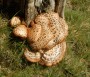 Fungi Fungi