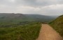 The view back The view back