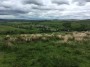Above Cliviger Above Cliviger