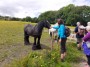 Time to pat the horses Time to pat the horses