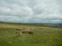 Fabulous views Fabulous views