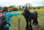 What a cutie, like a minature shire horse What a cutie, like a minature shire horse
