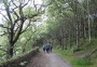 By Anglezarke reservoir By Anglezarke reservoir