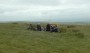 Morning coffee on Knowle Hill Morning coffee on Knowle Hill