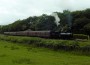 Steam train at Irwell Vale