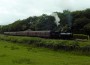 Steam train at Irwell Vale Steam train at Irwell Vale