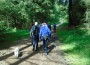 Through the woods Through the woods
