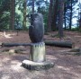 Hello owl Hello owl