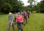 Walking on Walking on