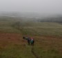 Descent of Winter Hill Descent of Winter Hill