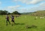 Field walking Field walking