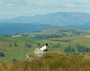 Sheep with a view Sheep with a view