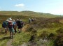 On the fell On the fell