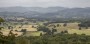 From Scout Scar From Scout Scar