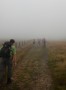 Off into the mist on the Gorple Road