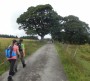 Off after lunch Off after lunch