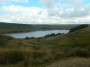 The view The view