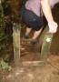 A very dodgy ladder stile A very dodgy ladder stile