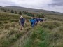 On the moors On the moors