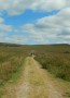 Into the distance...... Into the distance......