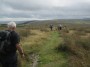 On the Burnley Way On the Burnley Way
