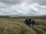 And up to the Moorland Ridge And up to the Moorland Ridge