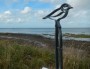Plover Plover