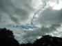 Parachutists coming in Parachutists coming in