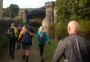 Magnificent bridge Magnificent bridge