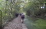 Final stretch of canal back to Moses Gate Final stretch of canal back to Moses Gate