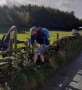 Helping Alf over the stile