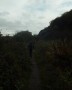 Narrow path Narrow path