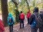 Still wet in the woods Still wet in the woods