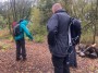 Searching for fungi Searching for fungi