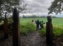 Leaving Ruff wood Leaving Ruff wood