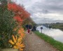 Lovely Autumn colours Lovely Autumn colours